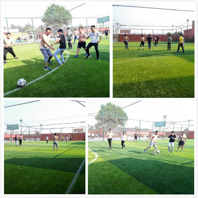 我们共一队，我们似一人——J9直营集团团建活动再升级