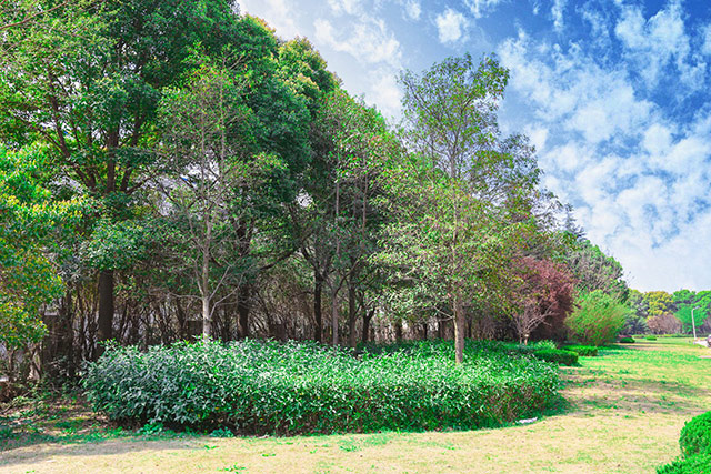 强强联合|J9直营集团运动地板入驻英能体育