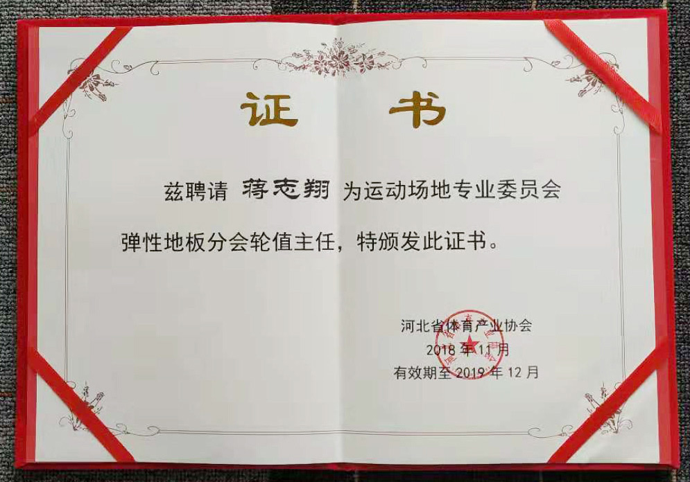 河北J9直营集团勇担省体育产业协会新责任