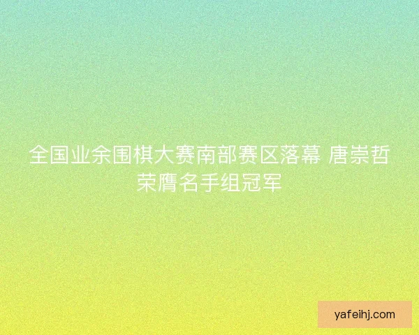 全国业余围棋大赛南部赛区落幕 唐崇哲荣膺名手组冠军